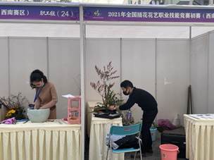 IMG_6339 IMG_6339